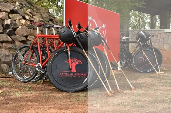 bike polo